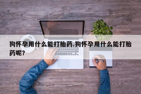 流产药微信联系方式安全无副作用狗怀孕用什么能打胎药.狗怀孕用什么能打胎药呢？