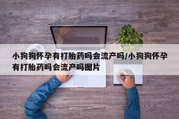 流产药微信联系方式安全无副作用小狗狗怀孕有打胎药吗会流产吗/小狗狗怀孕有打胎药吗会流产吗图片