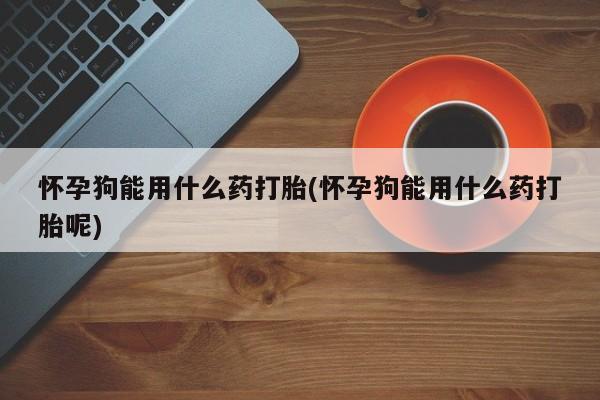 流产药微信联系方式安全无副作用怀孕狗能用什么药打胎(怀孕狗能用什么药打胎呢)